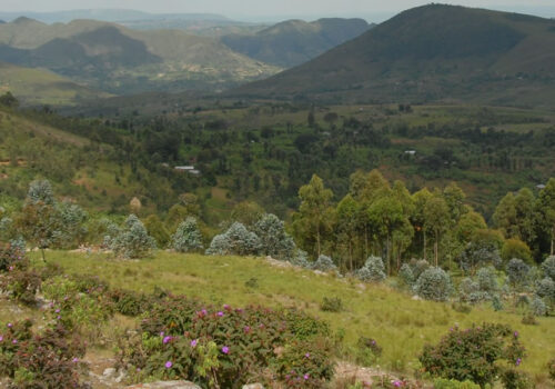 Kibira National Park