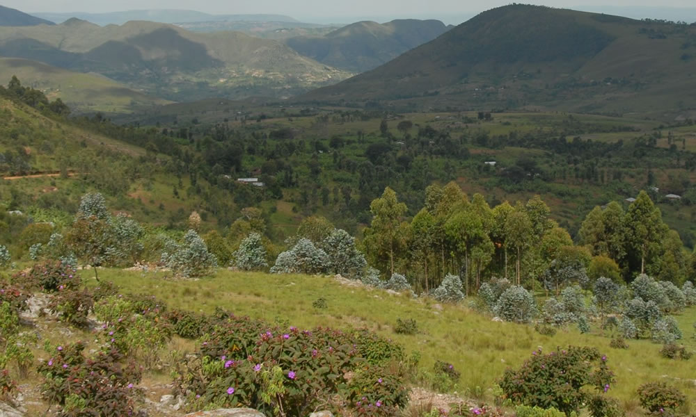 Kibira National Park