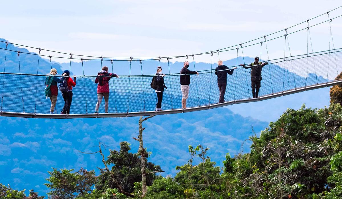 Nyungwe Forest National Park