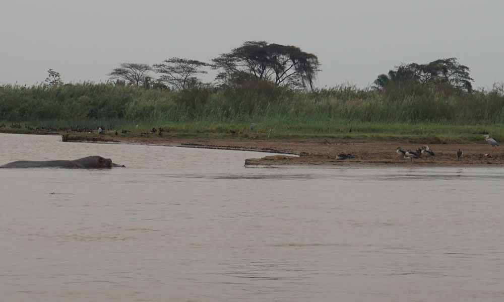 Ruvubu National Park in Burundi