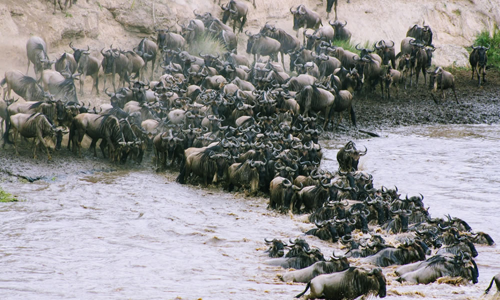 13 Days Uganda, Masai Mara & Serengeti Safari